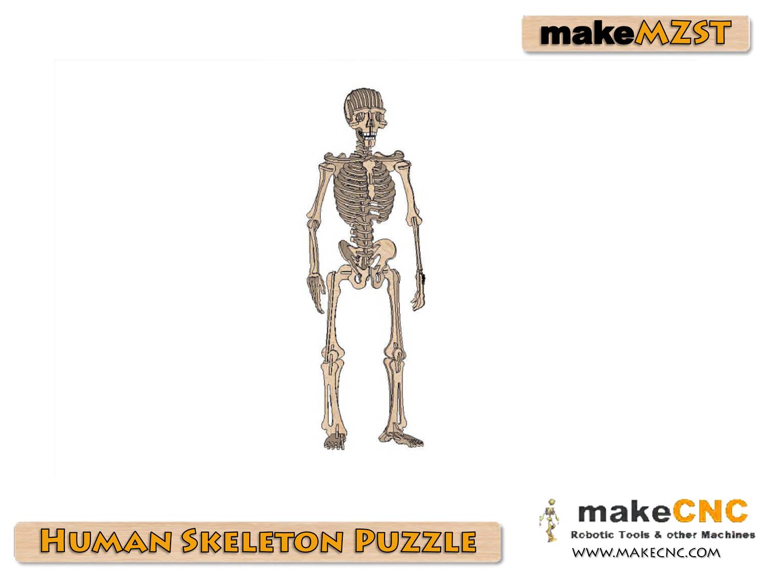 Human Skeleton Assembly Guide.pdf | DocDroid
