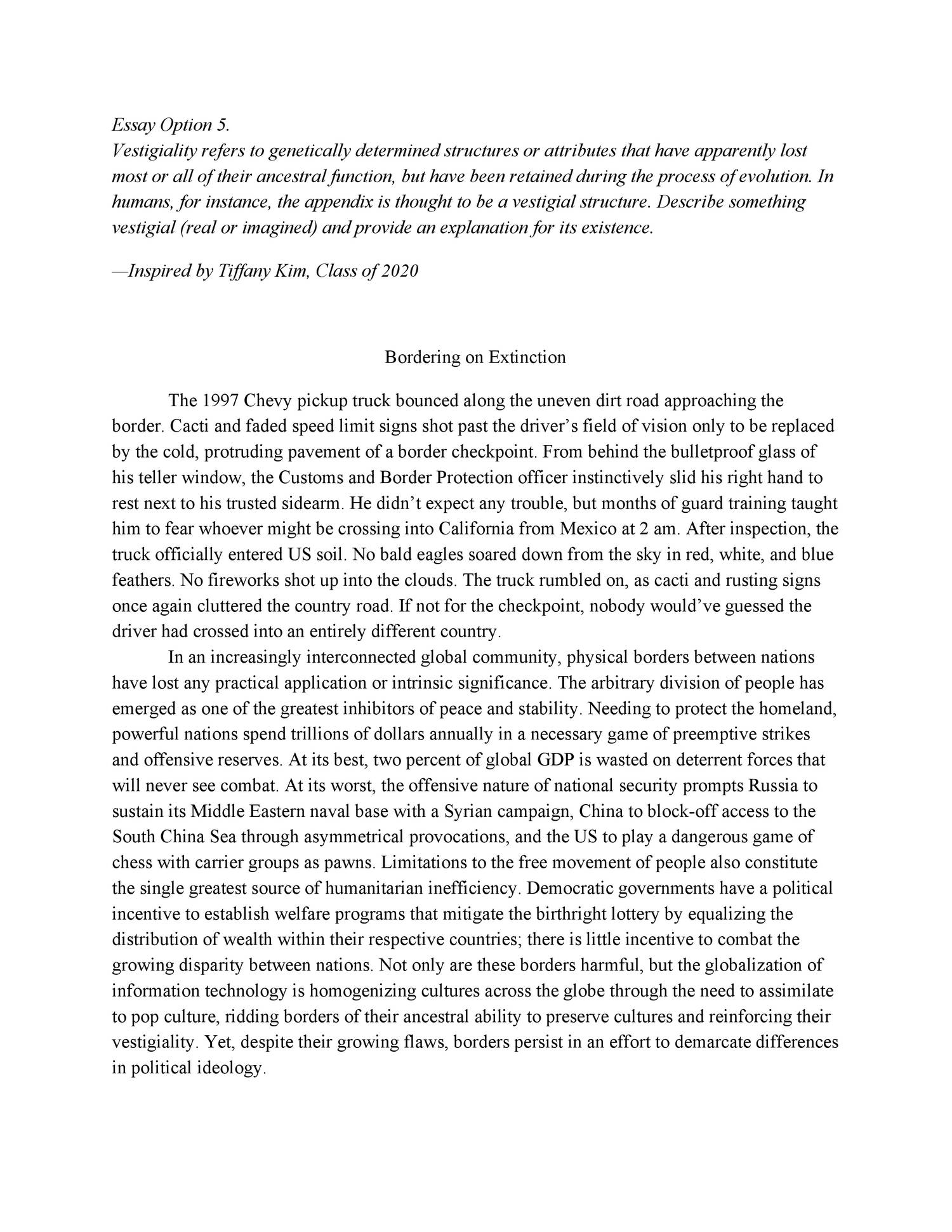 university of chicago extended essay