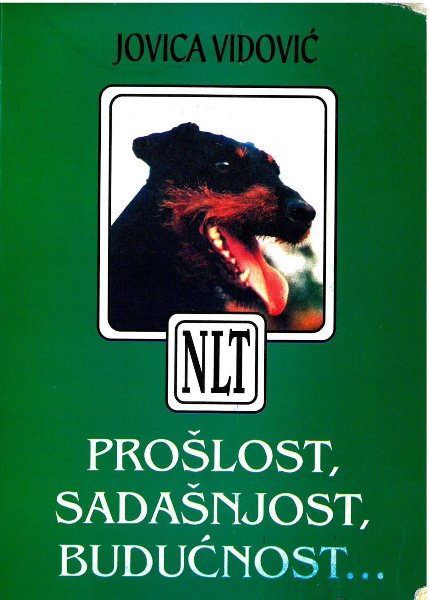 proslostsadasnjostbuducnost.pdf DocDroid