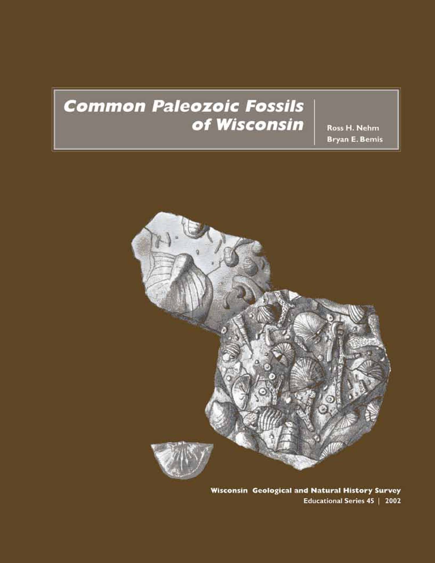 Common Paleozoic Fossils of Wisconsin.pdf DocDroid
