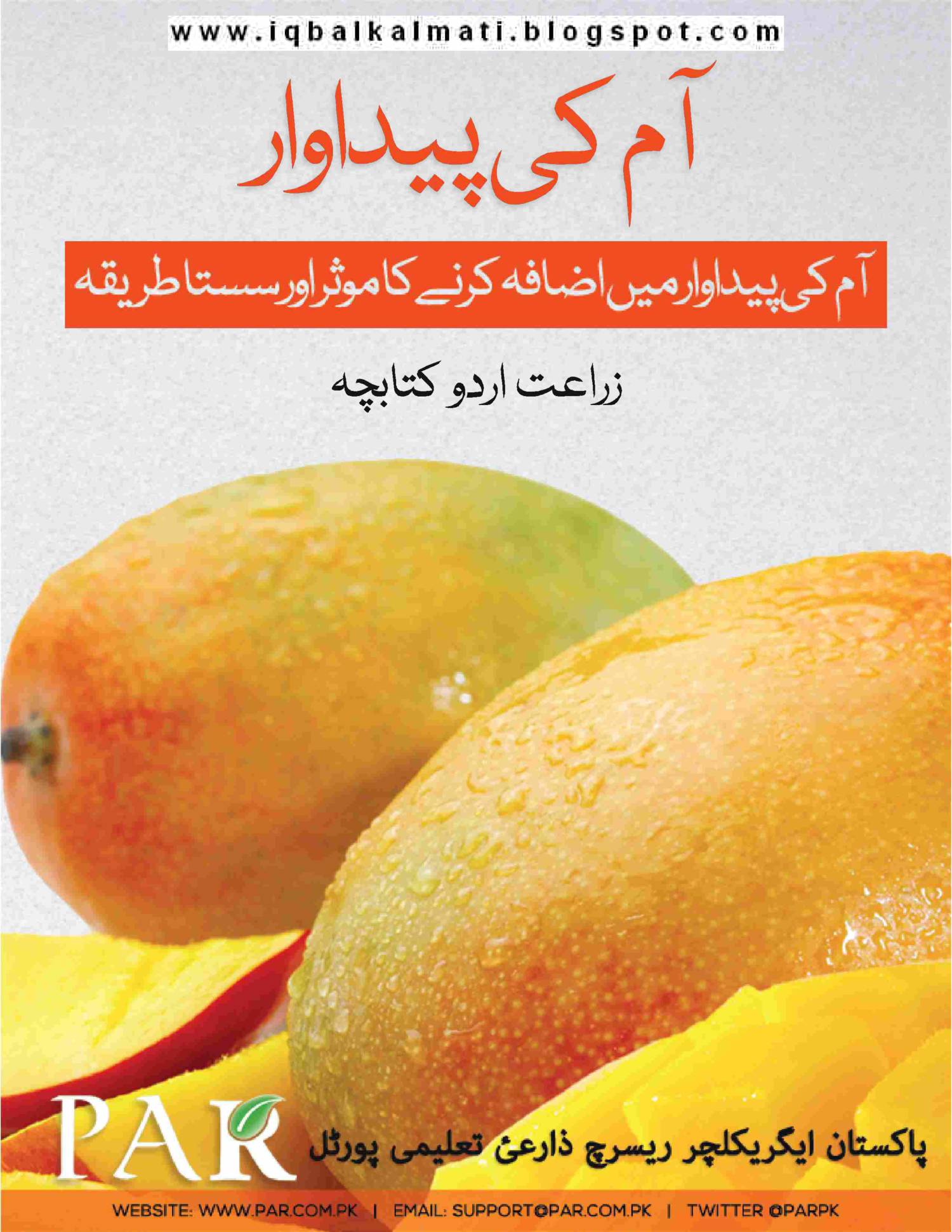 mango production.pdf DocDroid