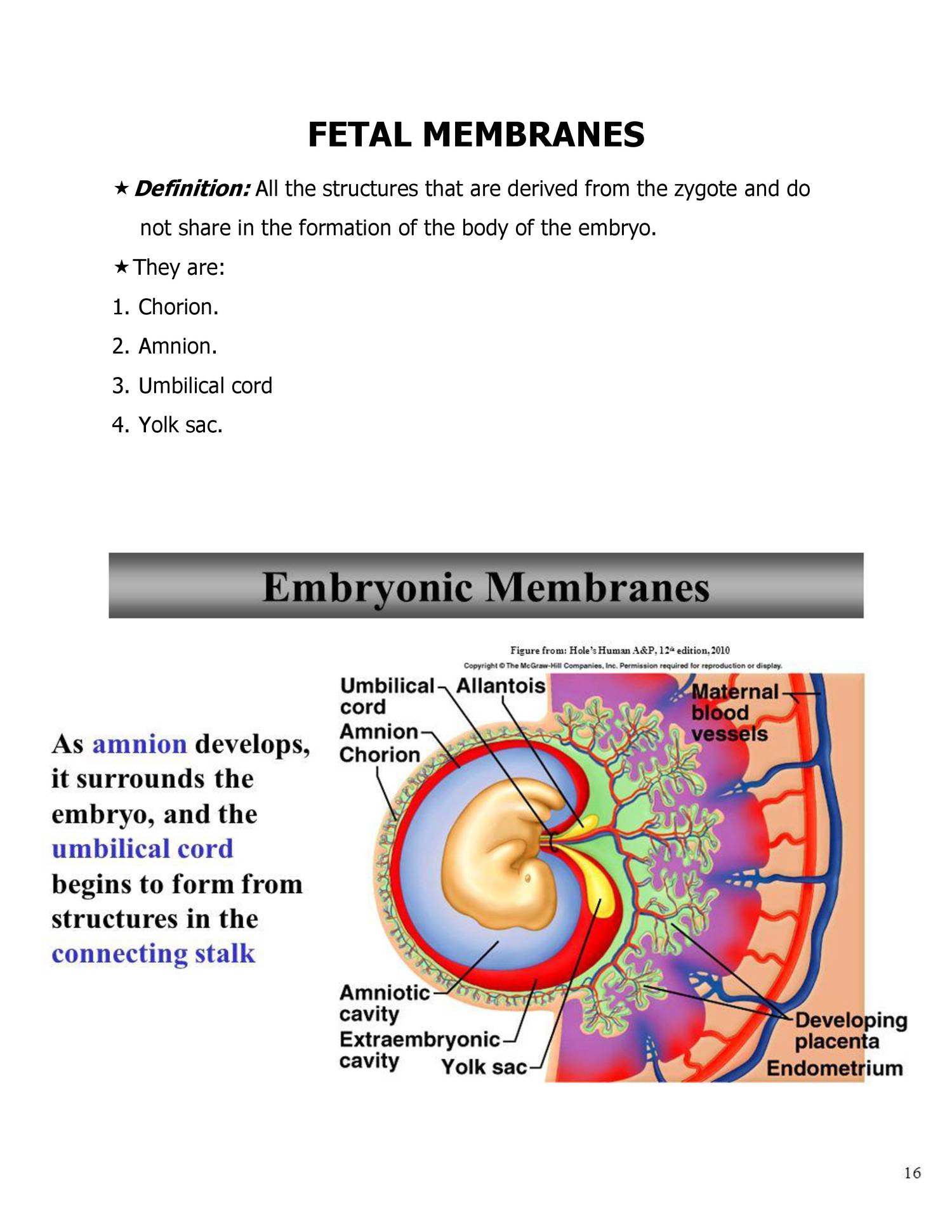 General embryo fetal membrane.doc DocDroid