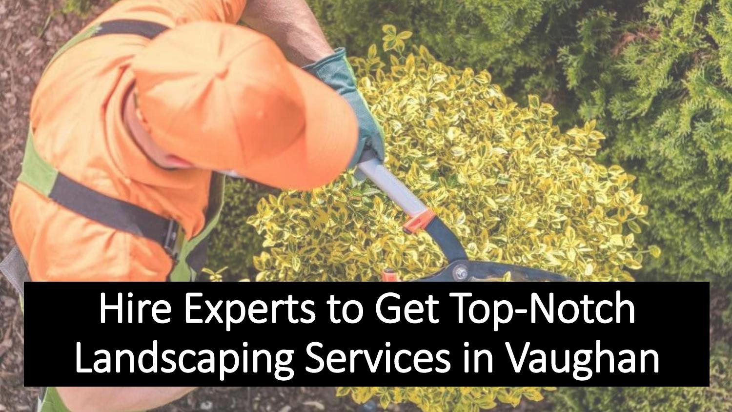 Hire Experts to Get TopNotch Landscaping Services in Vaughan.pptx
