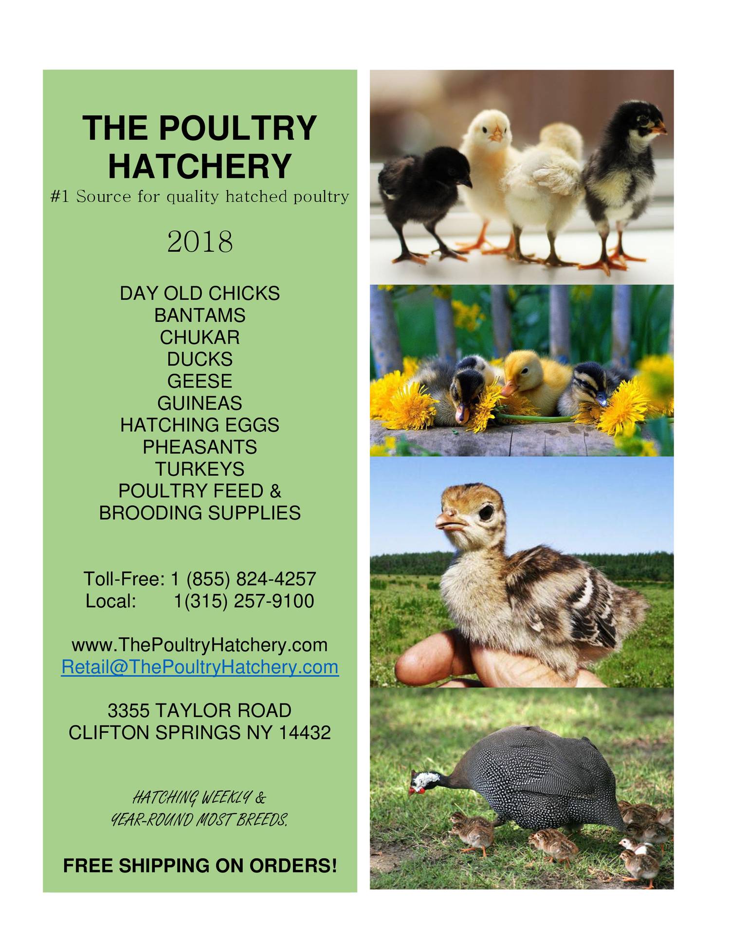 2018 THE POULTRY HATCHERY PRODUCT CATALOG.pdf DocDroid