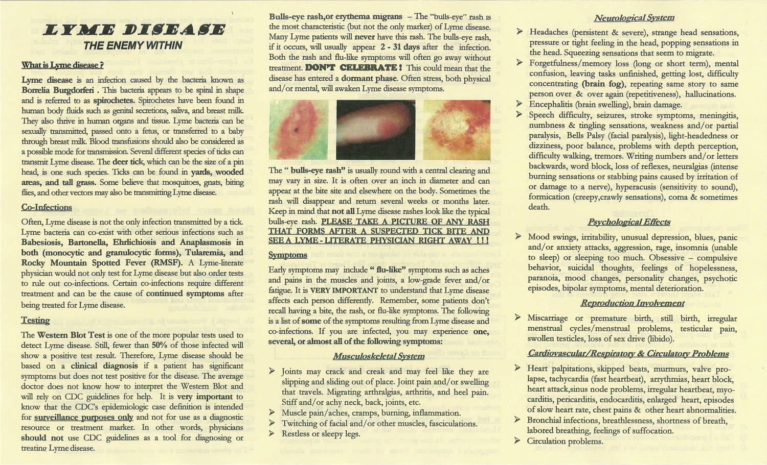 lyme_disease_brochure (2).pdf | DocDroid