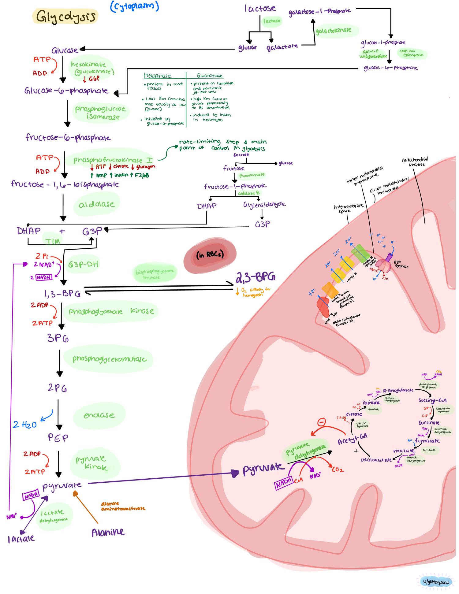 MCAT PACKET biochem reddit copy.pdf DocDroid