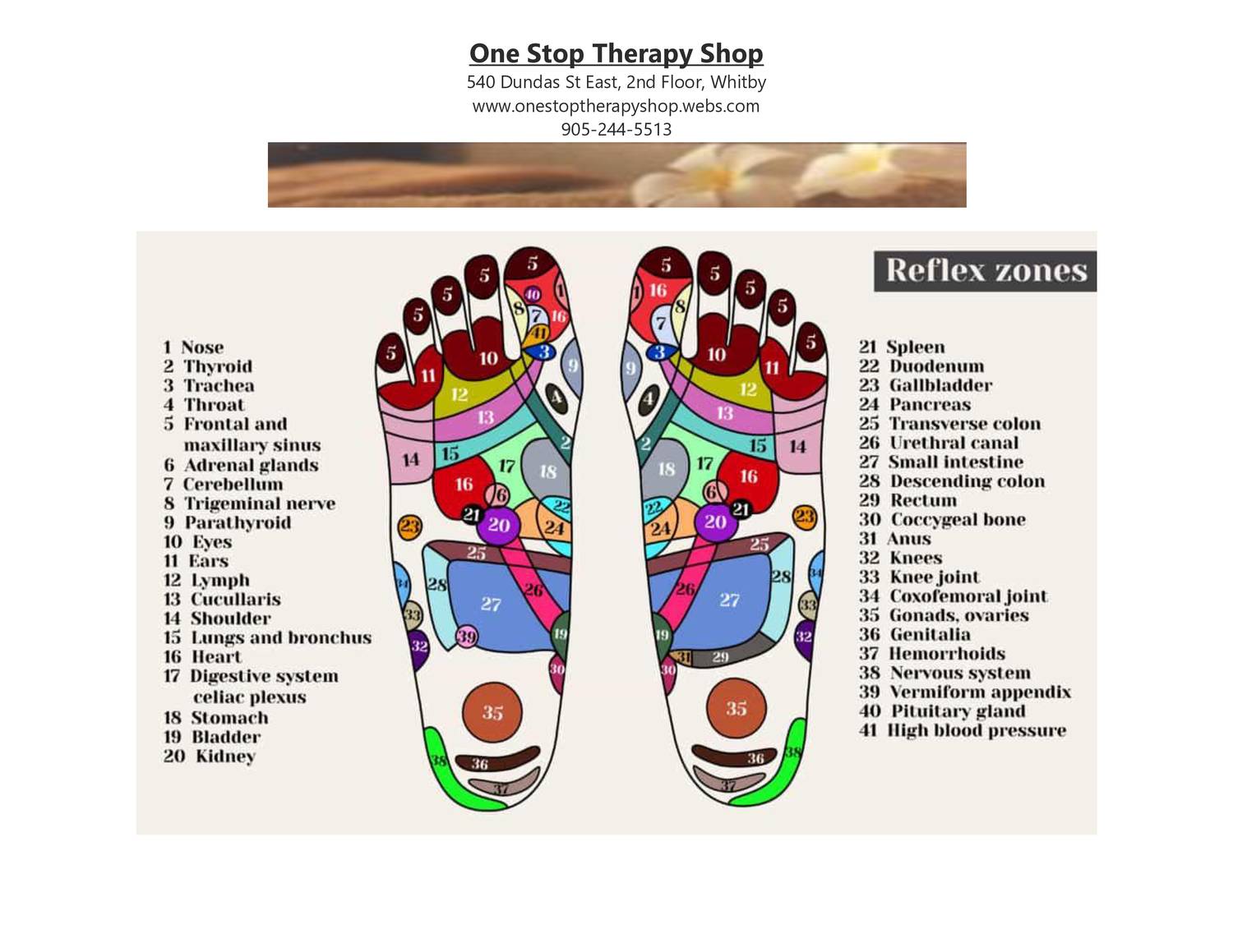 Ovaries Reflexology Foot Chart