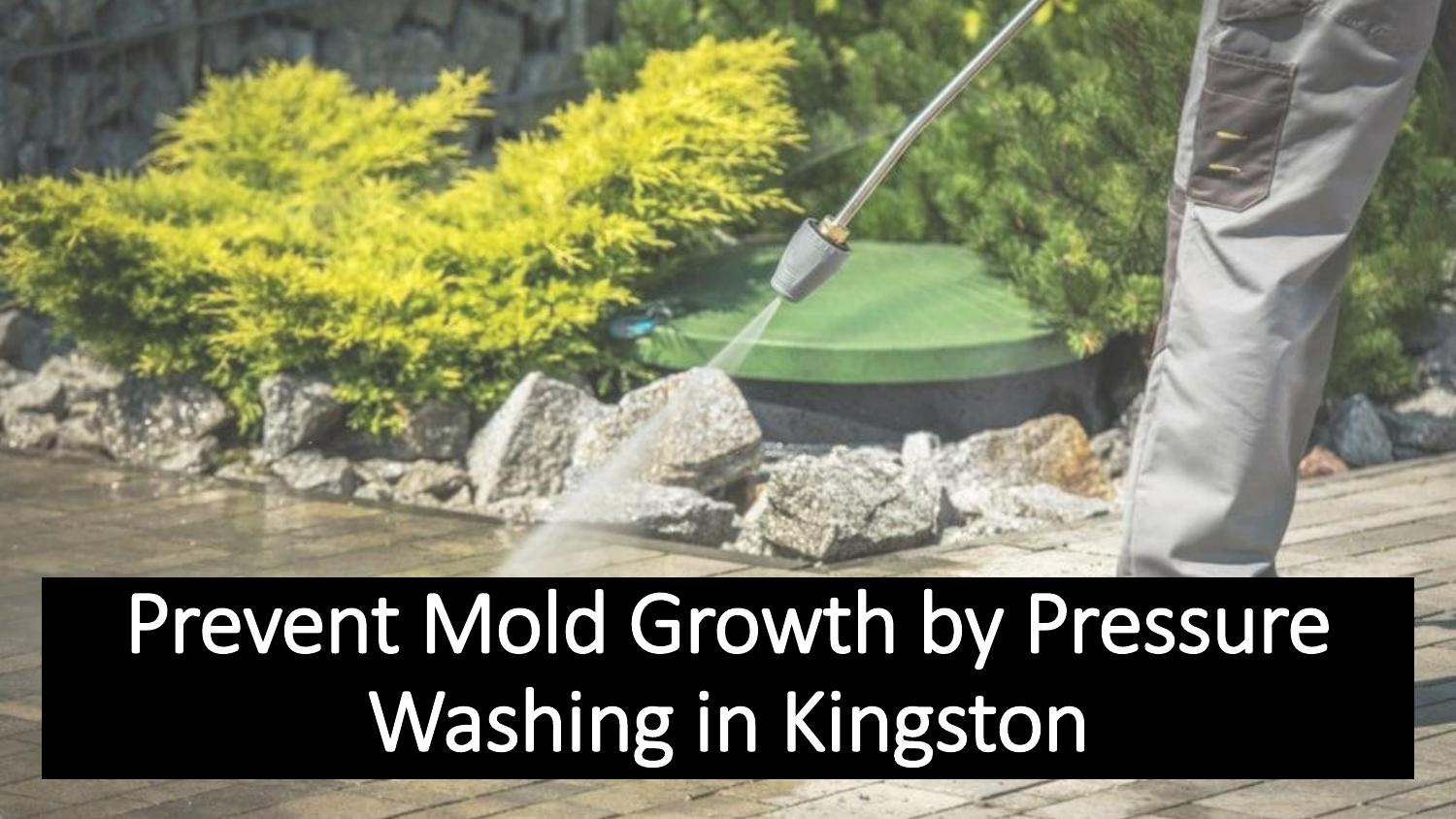 Prevent Mold Growth by Pressure Washing in Kingston.pptx DocDroid