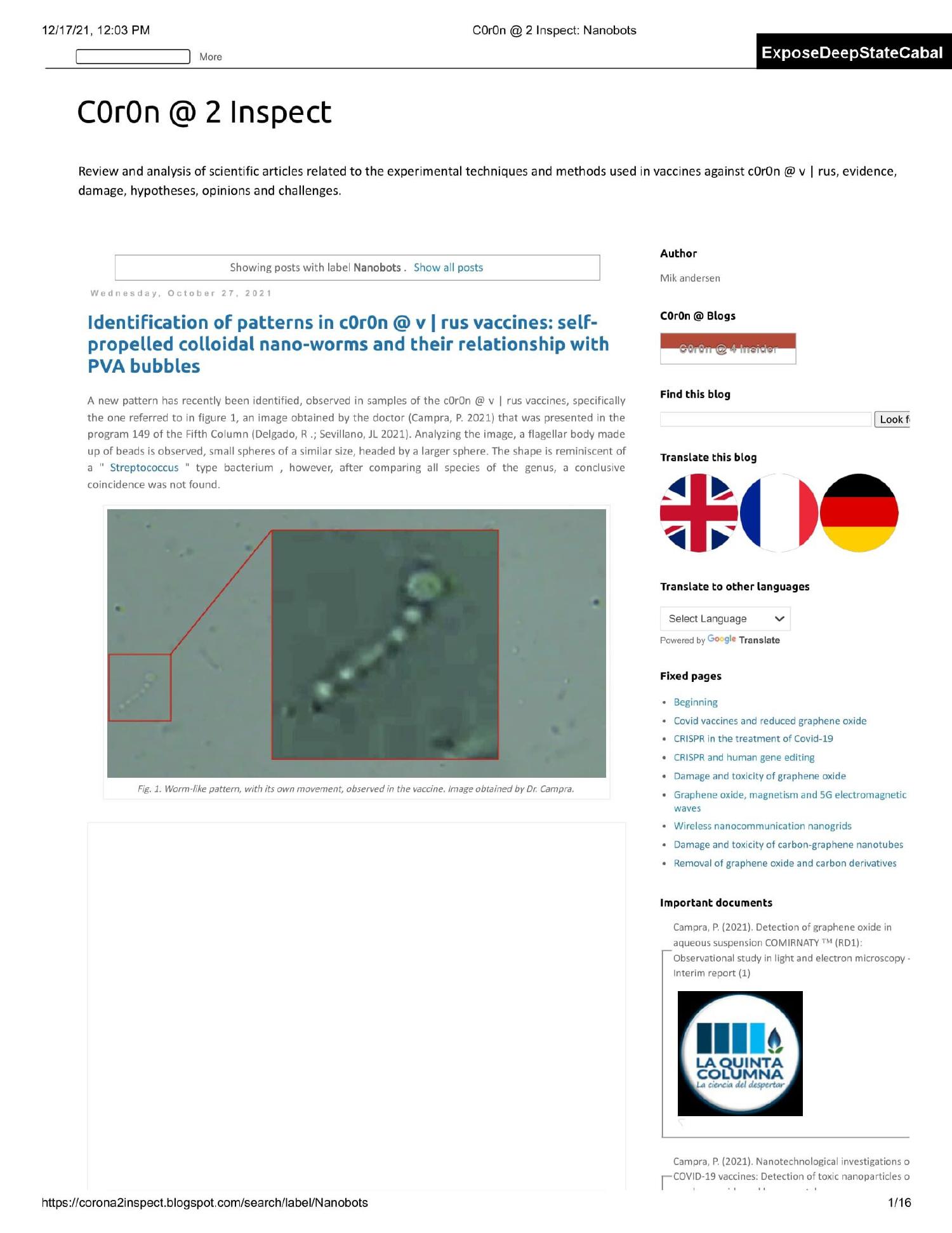 Nanobots selfpropelled colloidal nanoworms and their relationship with PVA bubblesvaccines