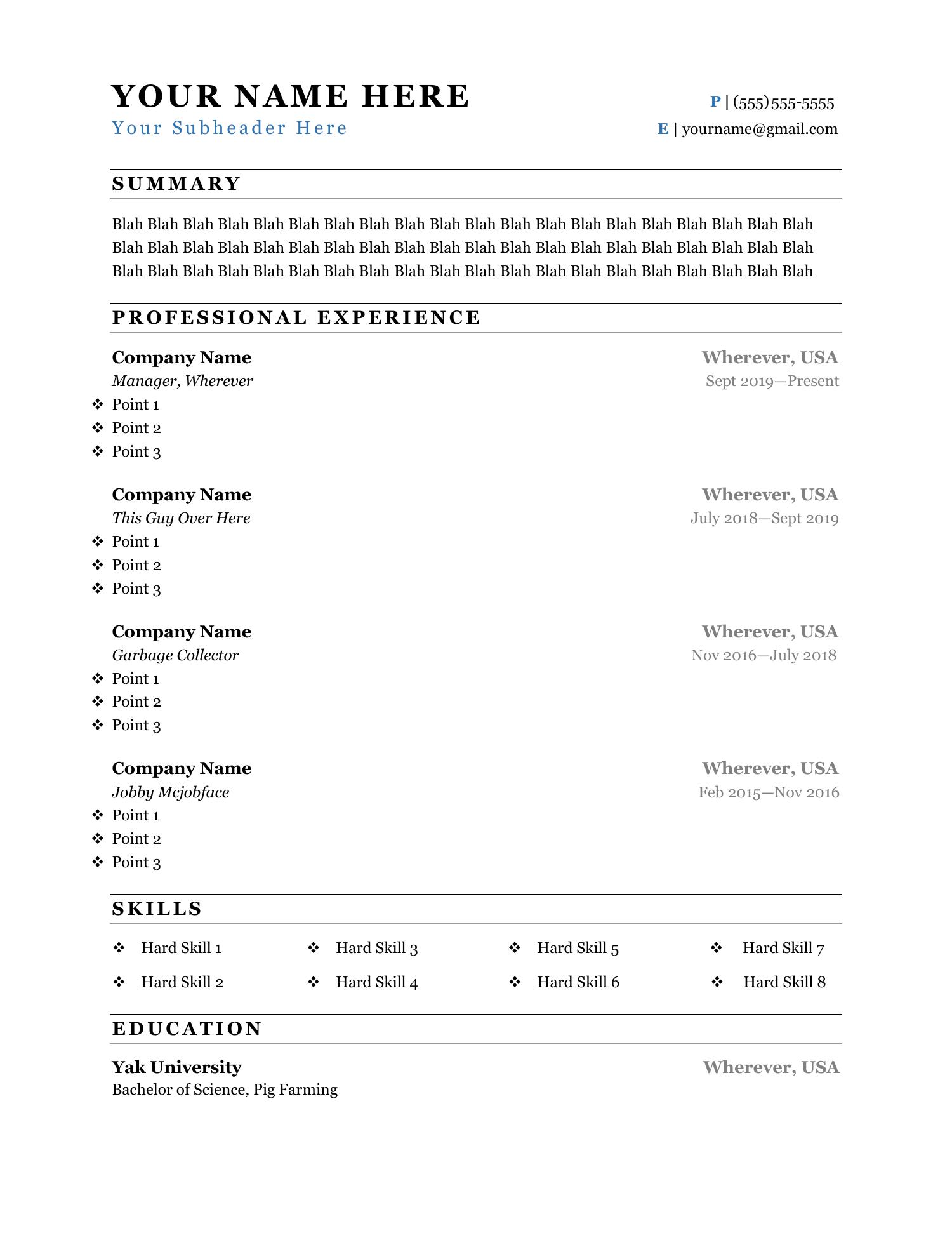 simple resume format in docx