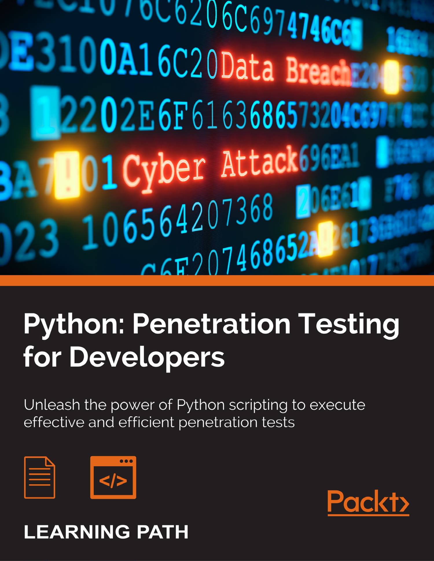 Penetration Testing Pdf