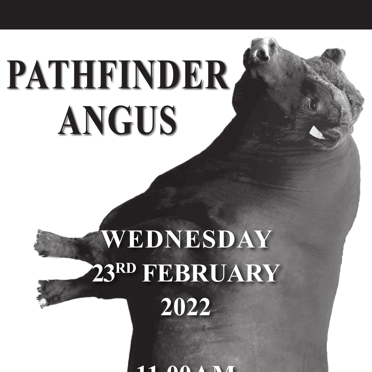VIC Bull Sale 2022.pdf | DocDroid