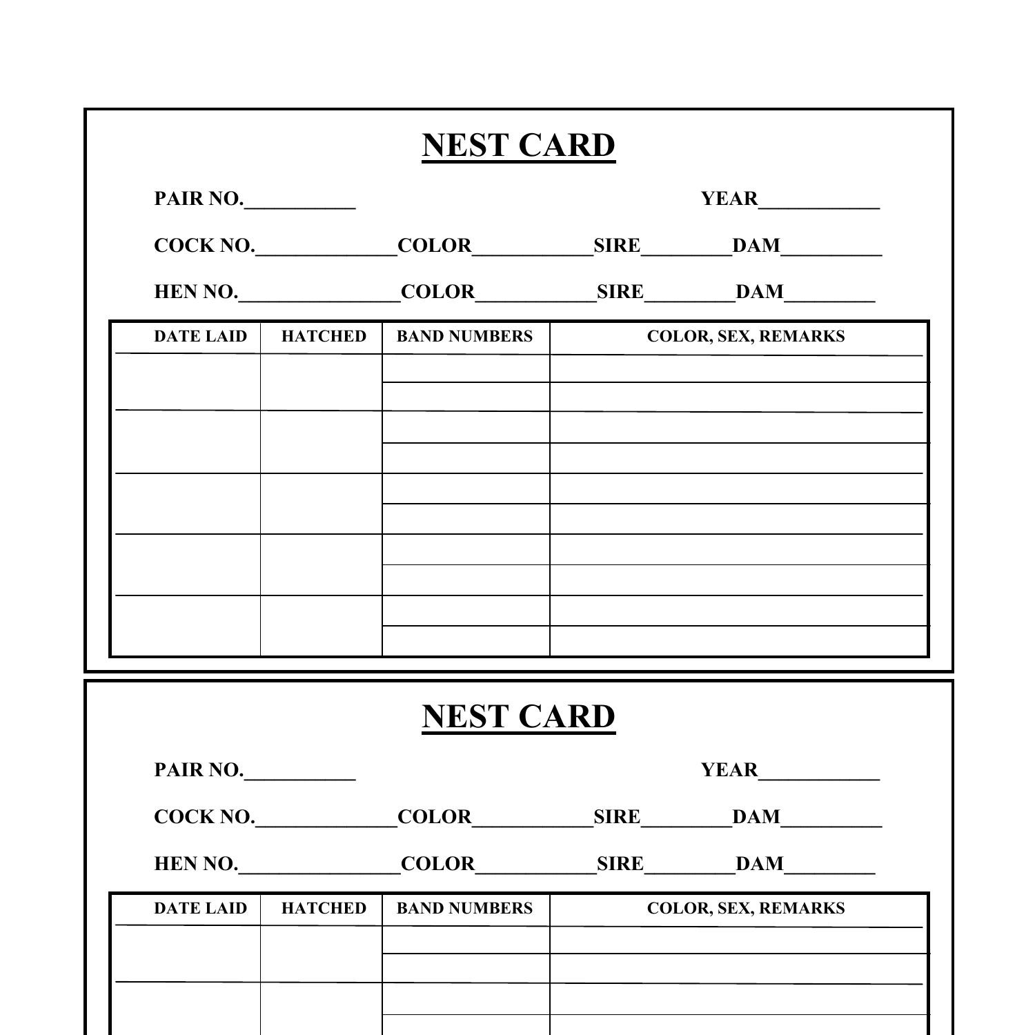 NEST_CARD_TEMPLATE.pdf | DocDroid
