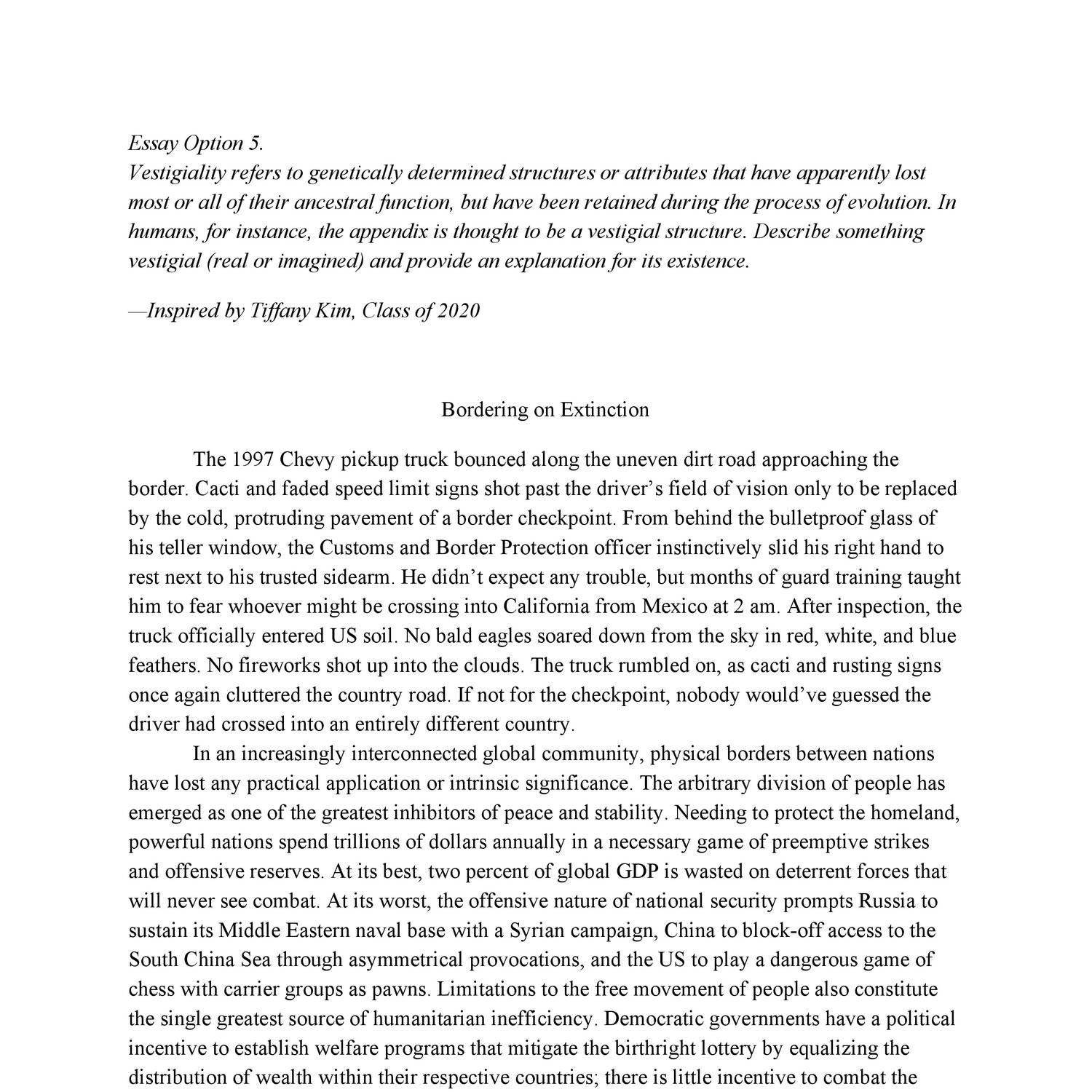 uchicago transfer essays