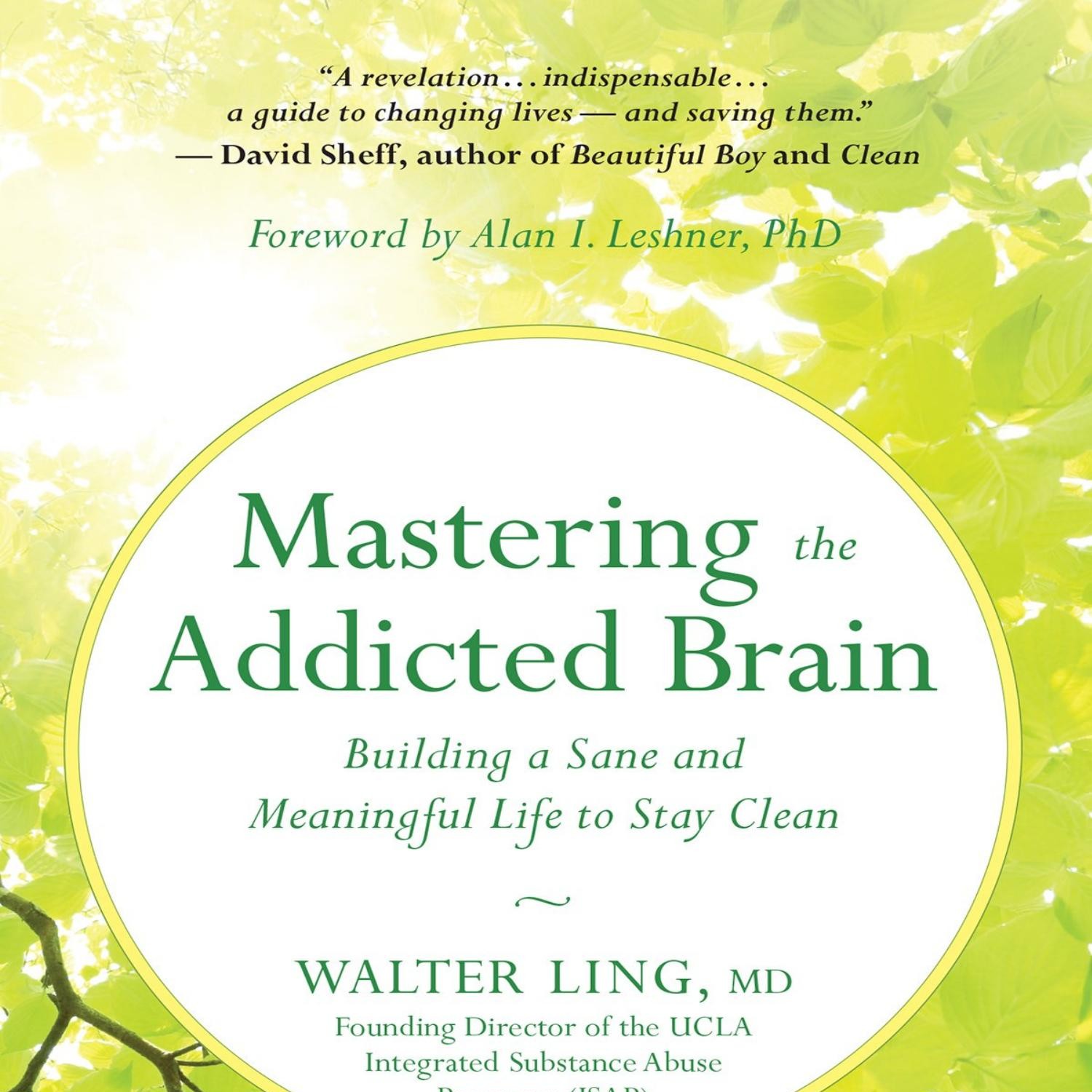 Mastering the Addicted Brain Building a Sane and Meaningful Life to ...