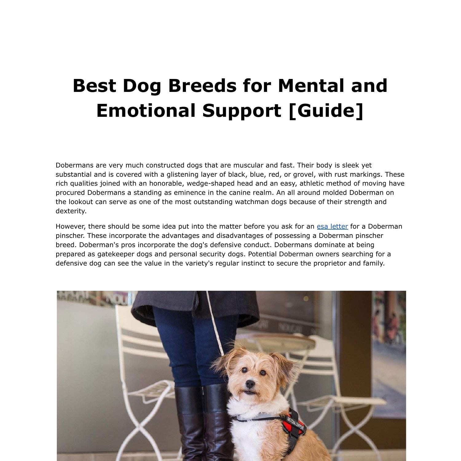 Best Dog Breeds for Mental and Emotional Support [Guide].pdf DocDroid
