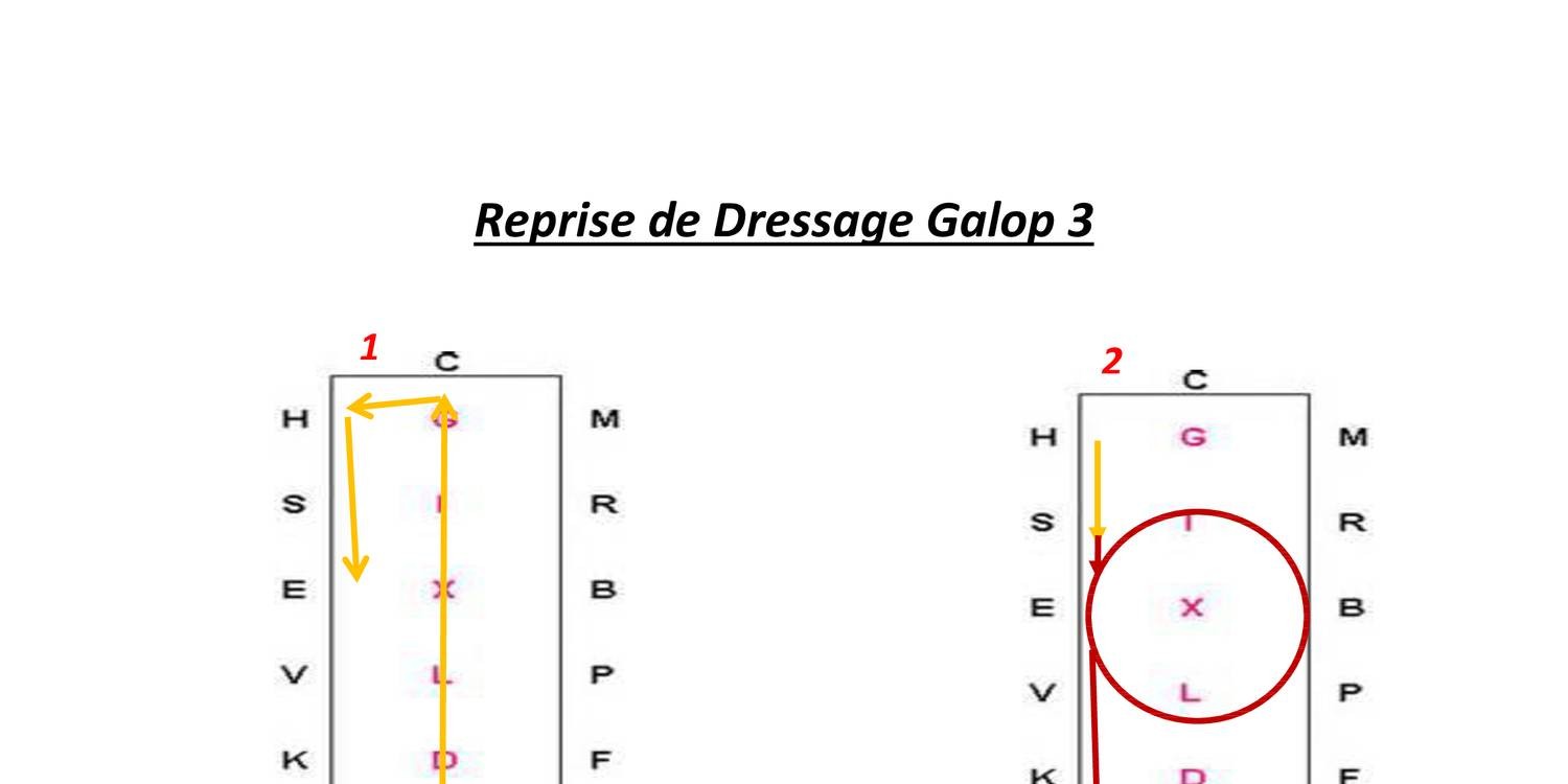 5 Dressage Galop 3.pdf
