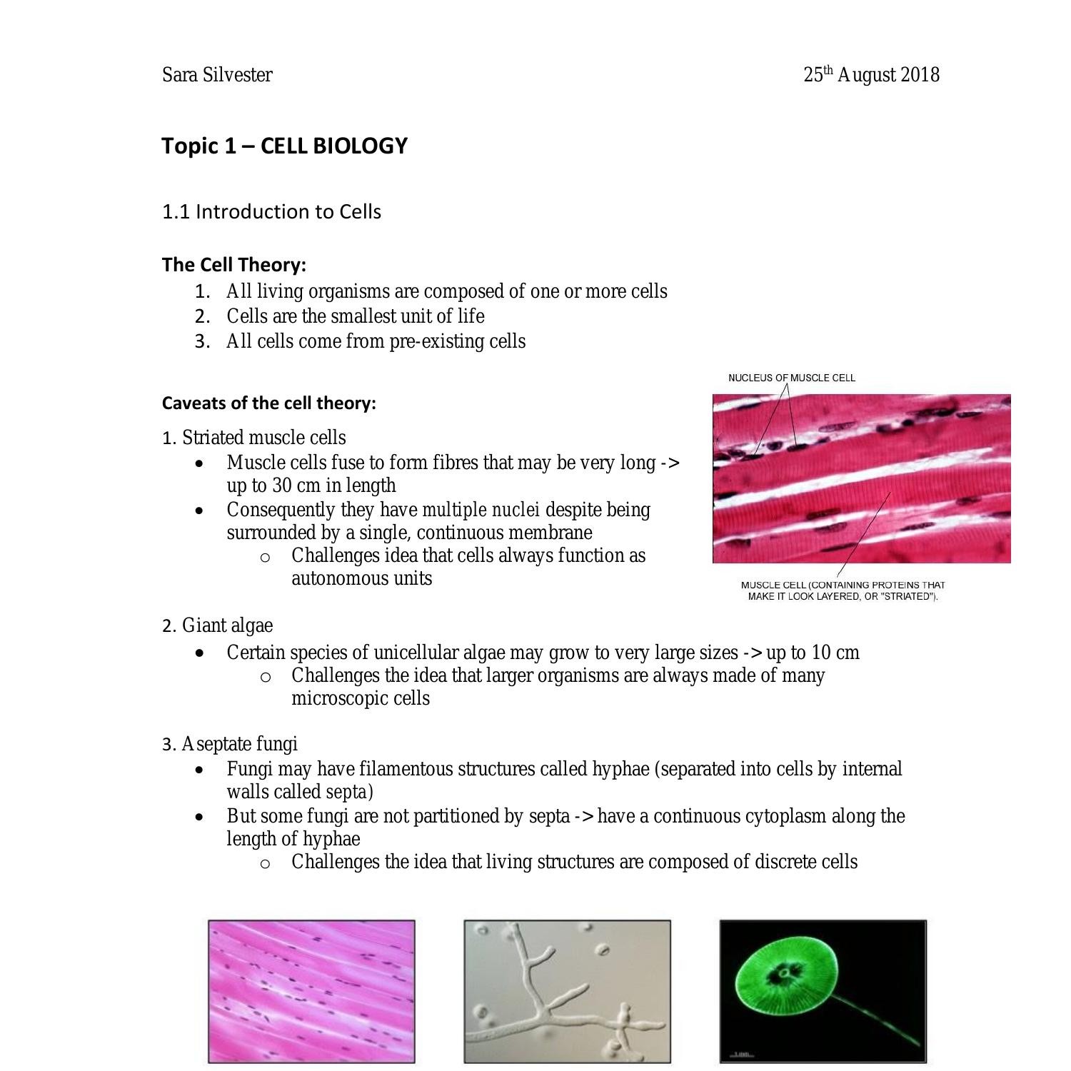 Topic 1- Cells.docx | DocDroid