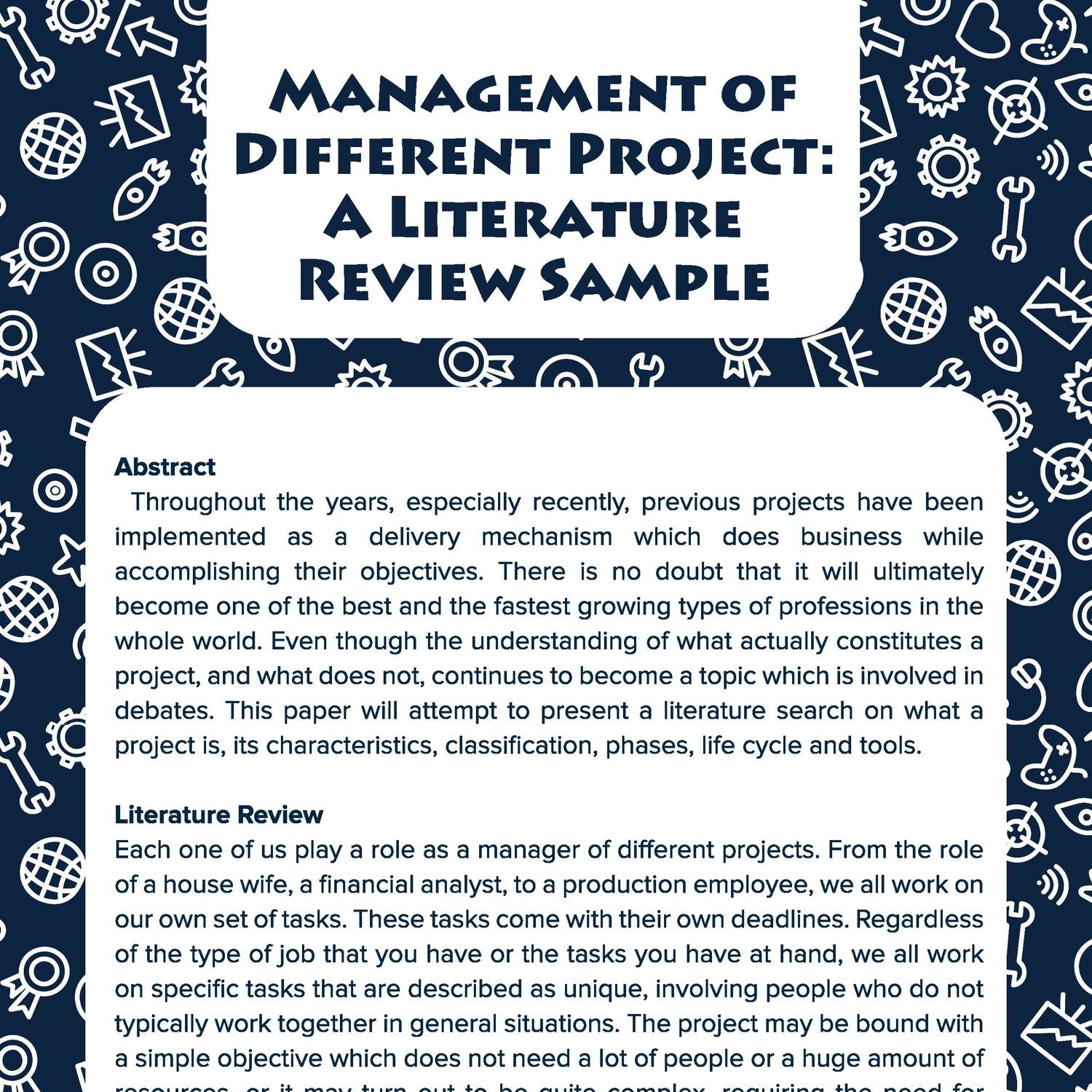 literature review of business management