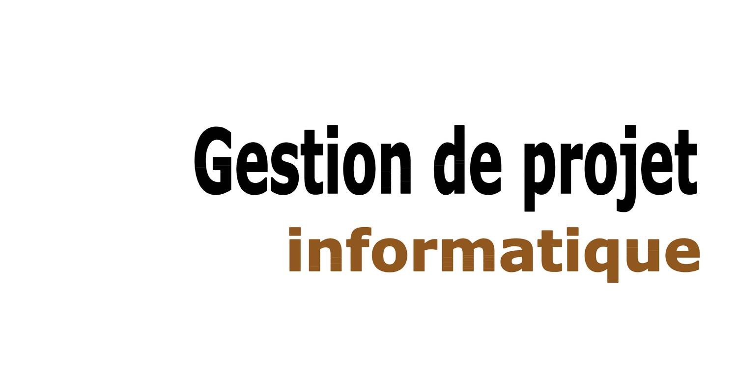 La Gestion De Projet Informatique (Livre Blanc De Stéphane Grare).pdf