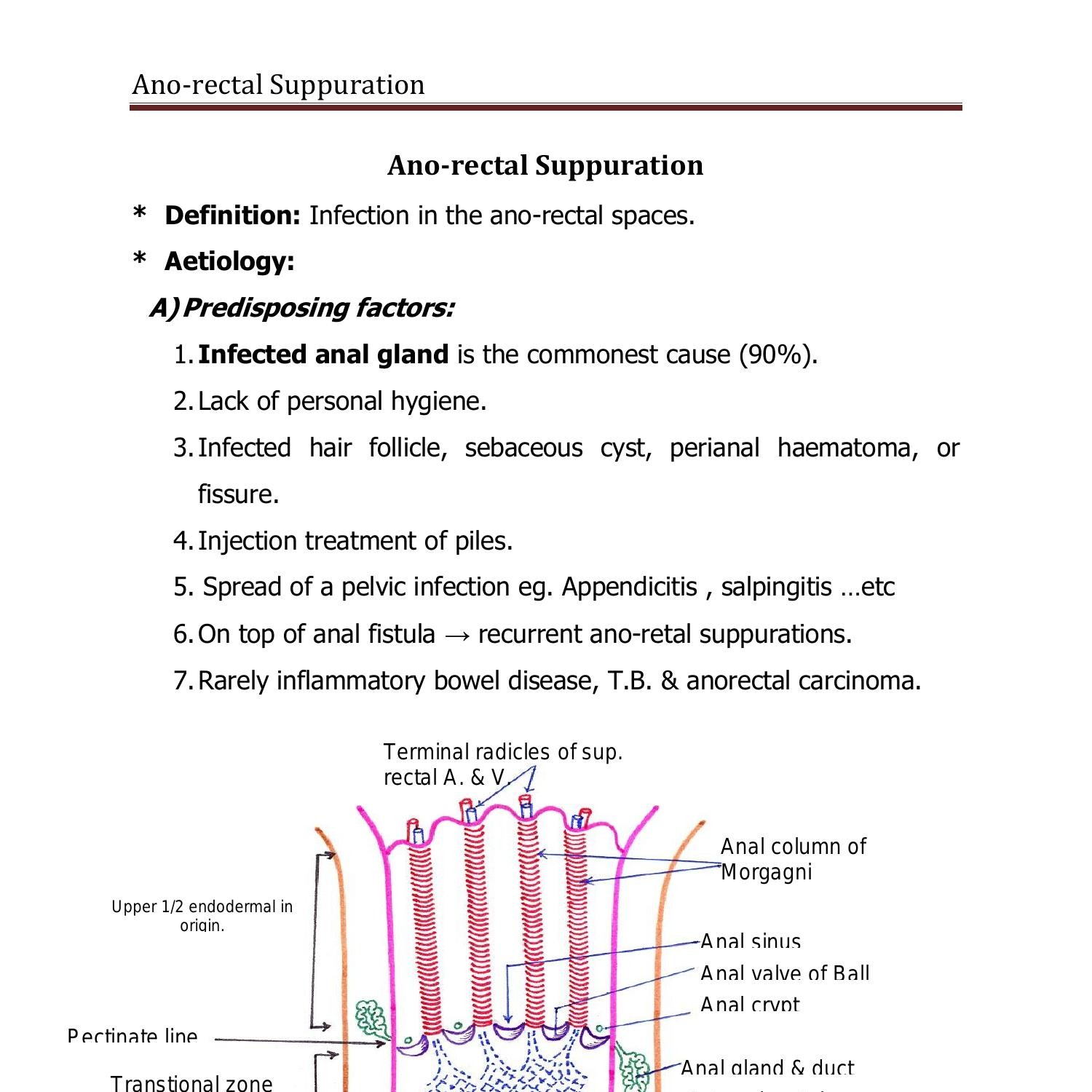 Anorectal supuration.doc | DocDroid