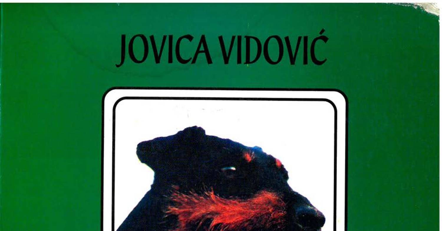 proslostsadasnjostbuducnost.pdf DocDroid