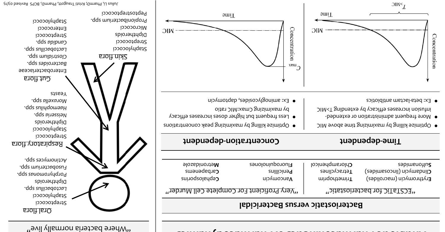 Antibiotic Pocket Guide 15.pdf DocDroid