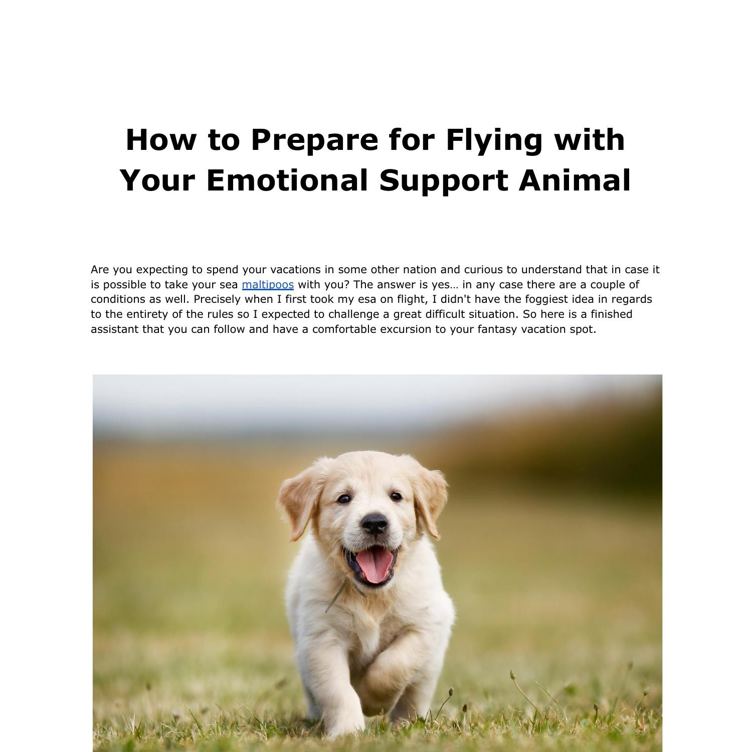 How to Prepare for Flying with Your Emotional Support Animal.pdf | DocDroid