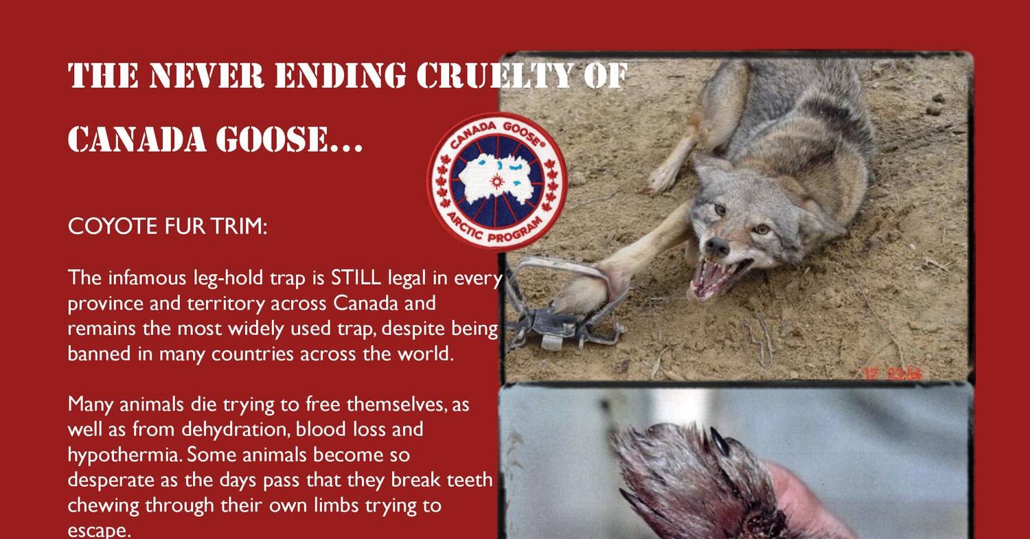 canada goose valladolid zip code