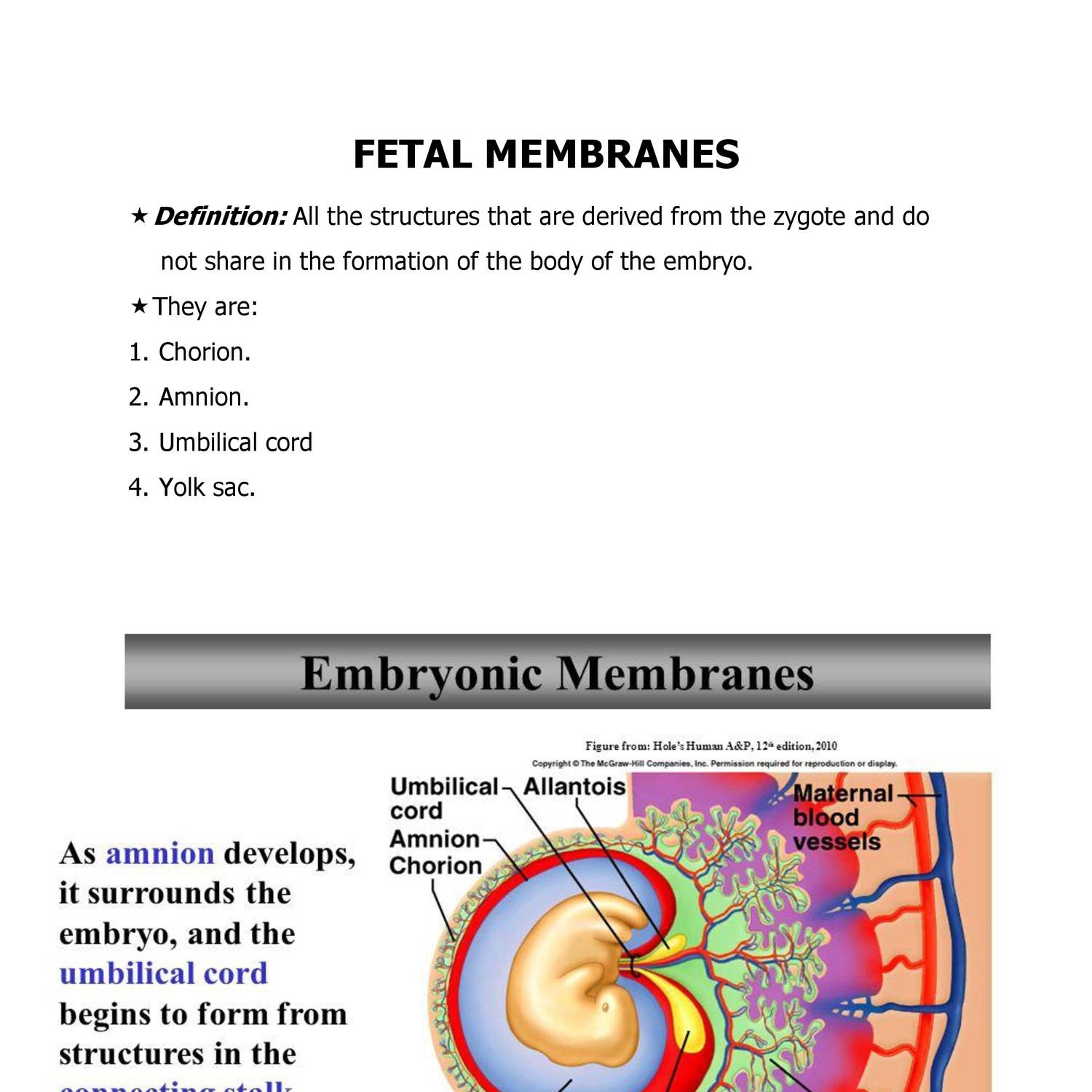 General embryo fetal membrane.doc DocDroid