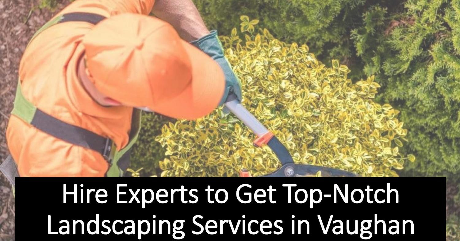 Hire Experts to Get TopNotch Landscaping Services in Vaughan.pptx