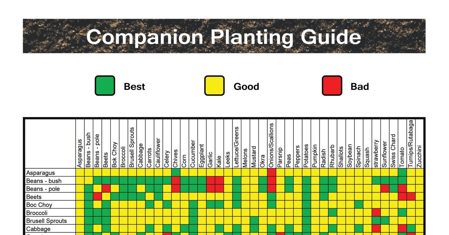 seeding-square-companion-guide-pdf-docdroid