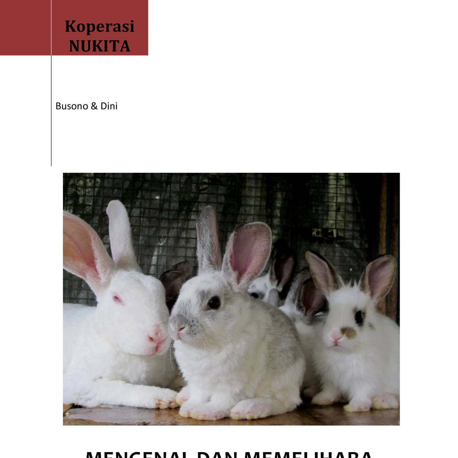 BUKU_MENGENAL_BERBAGAI_JENIS_KELINCI_YANG_POPULER_DI_INDONESIA.pdf | DocDroid