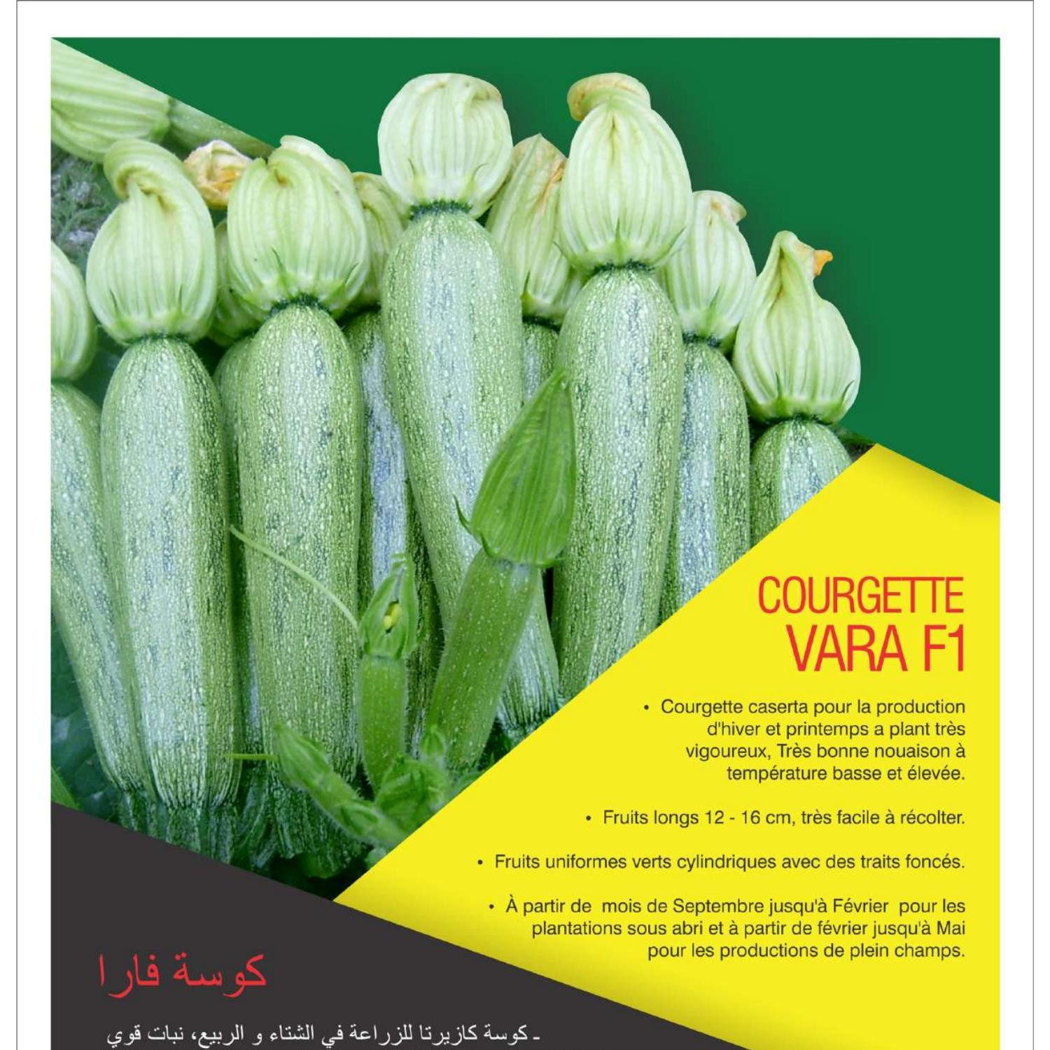 Vara F1 Pdf Docdroid