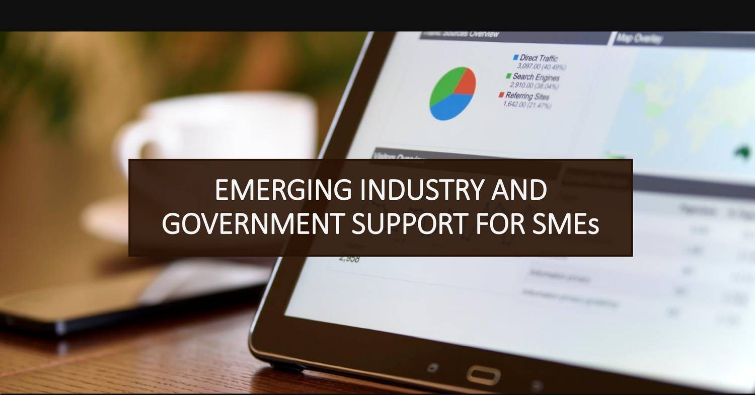 EMERGING INDUSTRY AND GOVERNMENT SUPPORT FOR SMEs.pptx | DocDroid