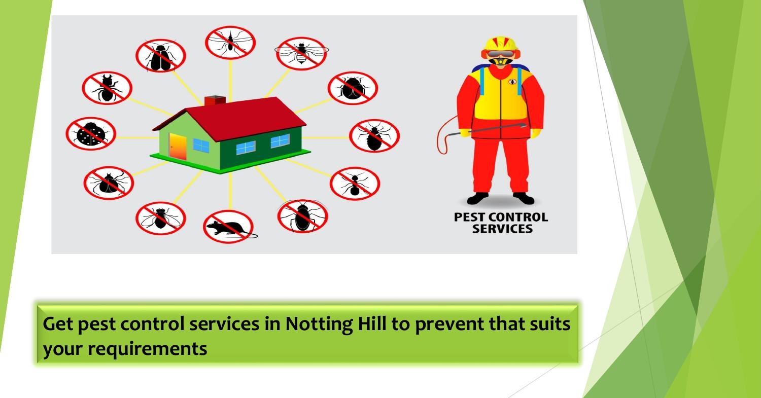 Get pest control services in Notting Hill to prevent that suits your