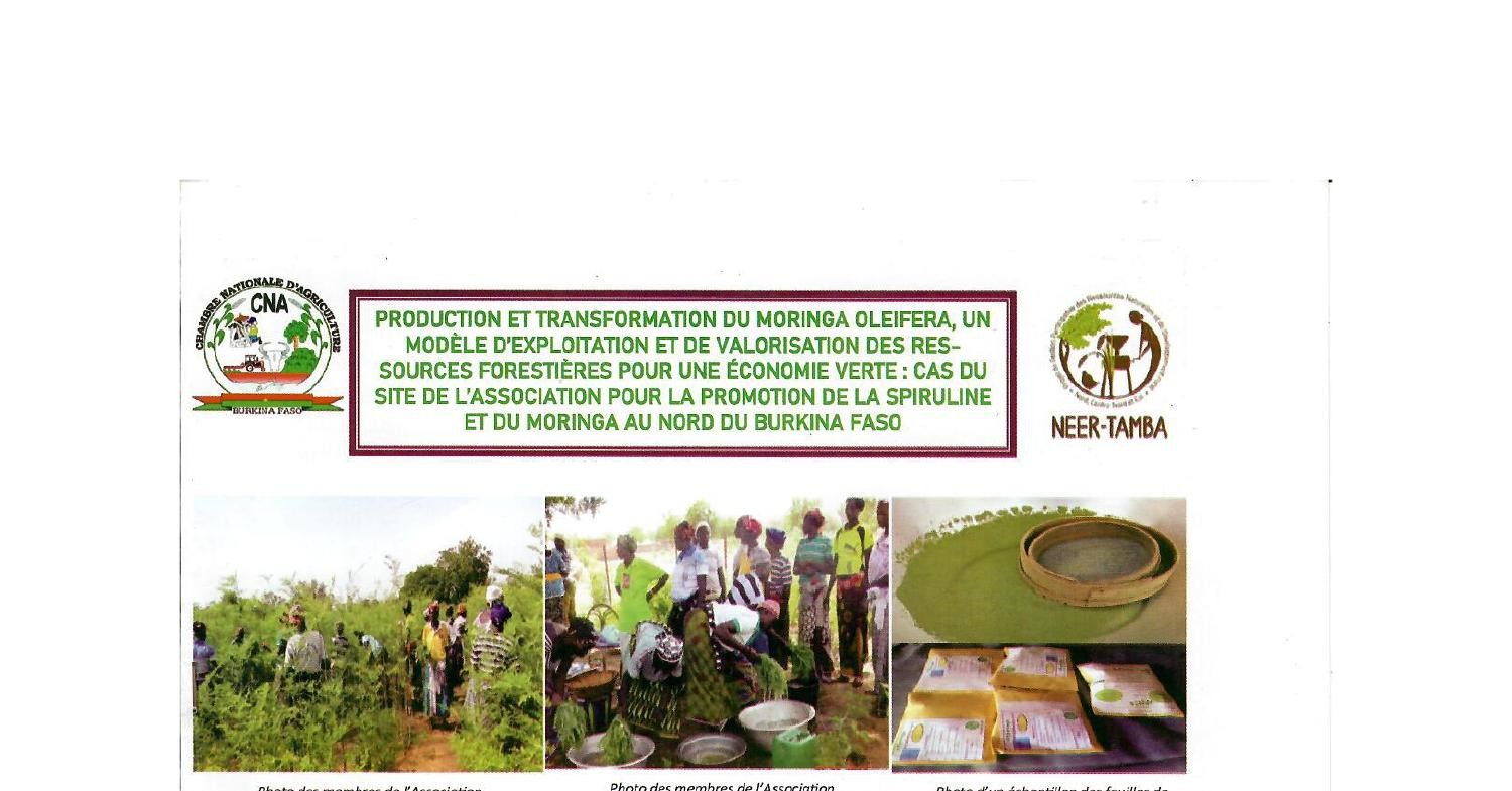 FICHE TECHNIQUE _ PRODUCTION ET TRANSFORMATION DU MORINGA OLEIFERA.pdf ...
