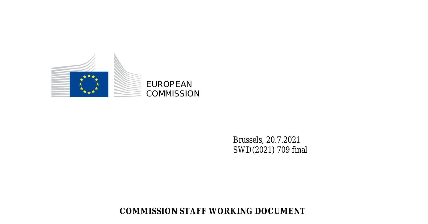 commission working document.pdf | DocDroid