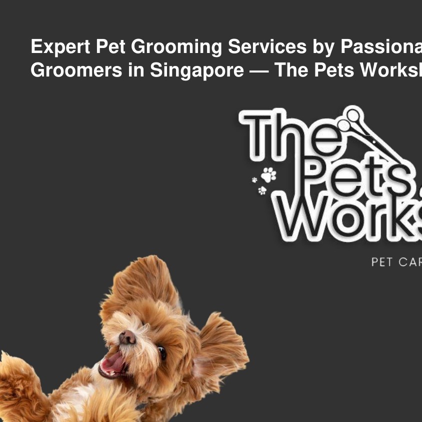 Expert Pet Grooming Services by Passionate Groomers in Singapore — The