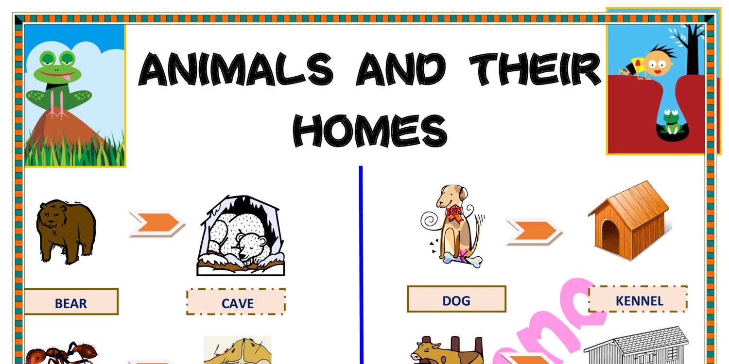 Animals And Their  | DocDroid