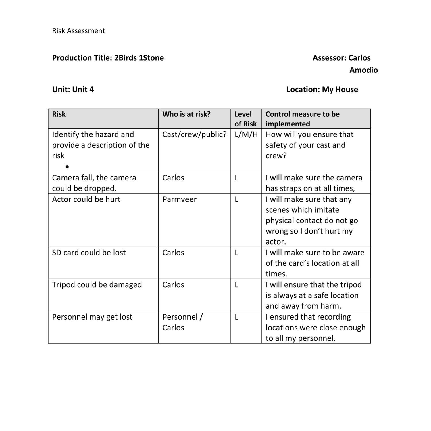 Risk Assessment Template.docx | DocDroid