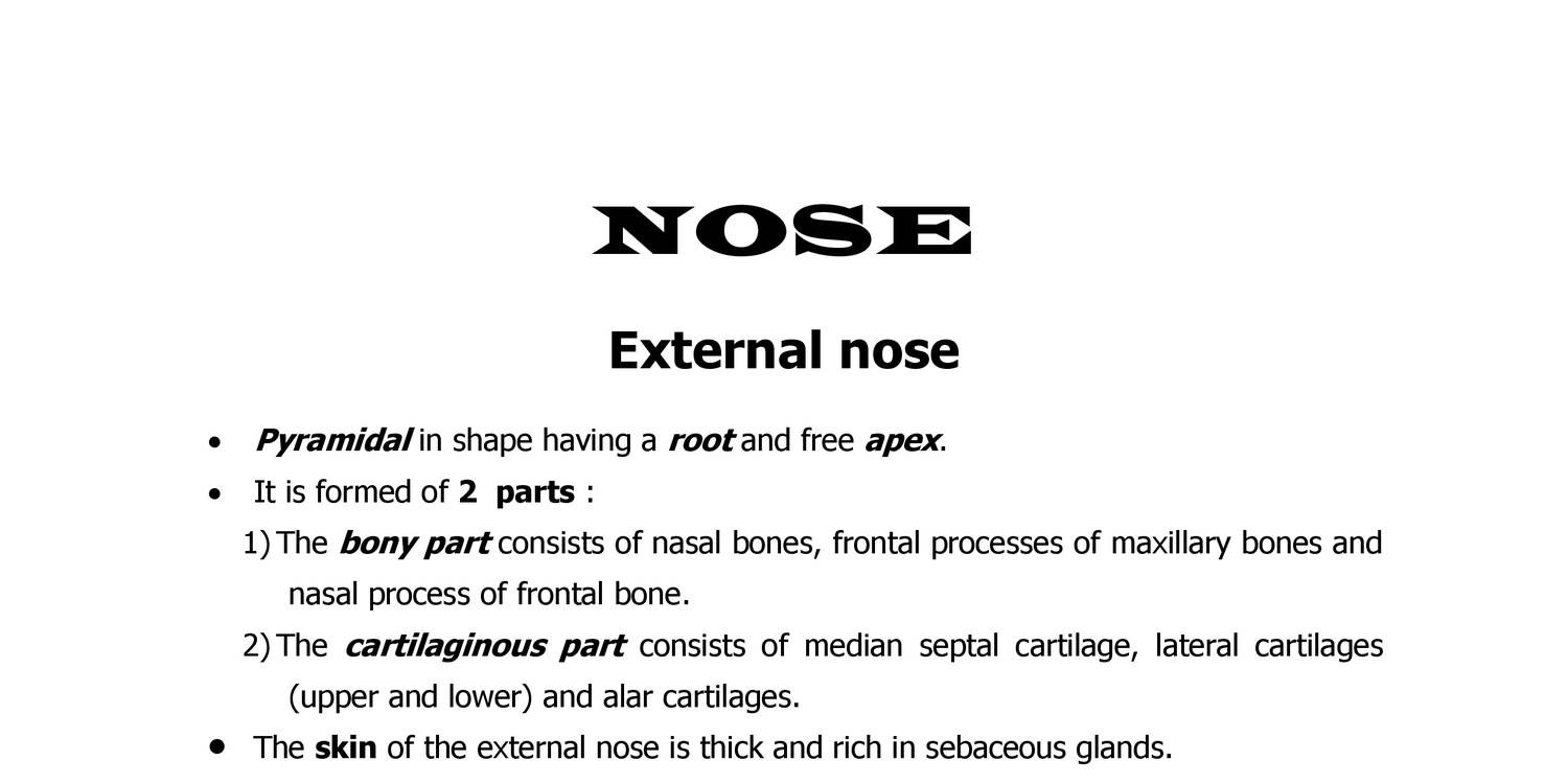 Anatomy Nose Doc Docdroid