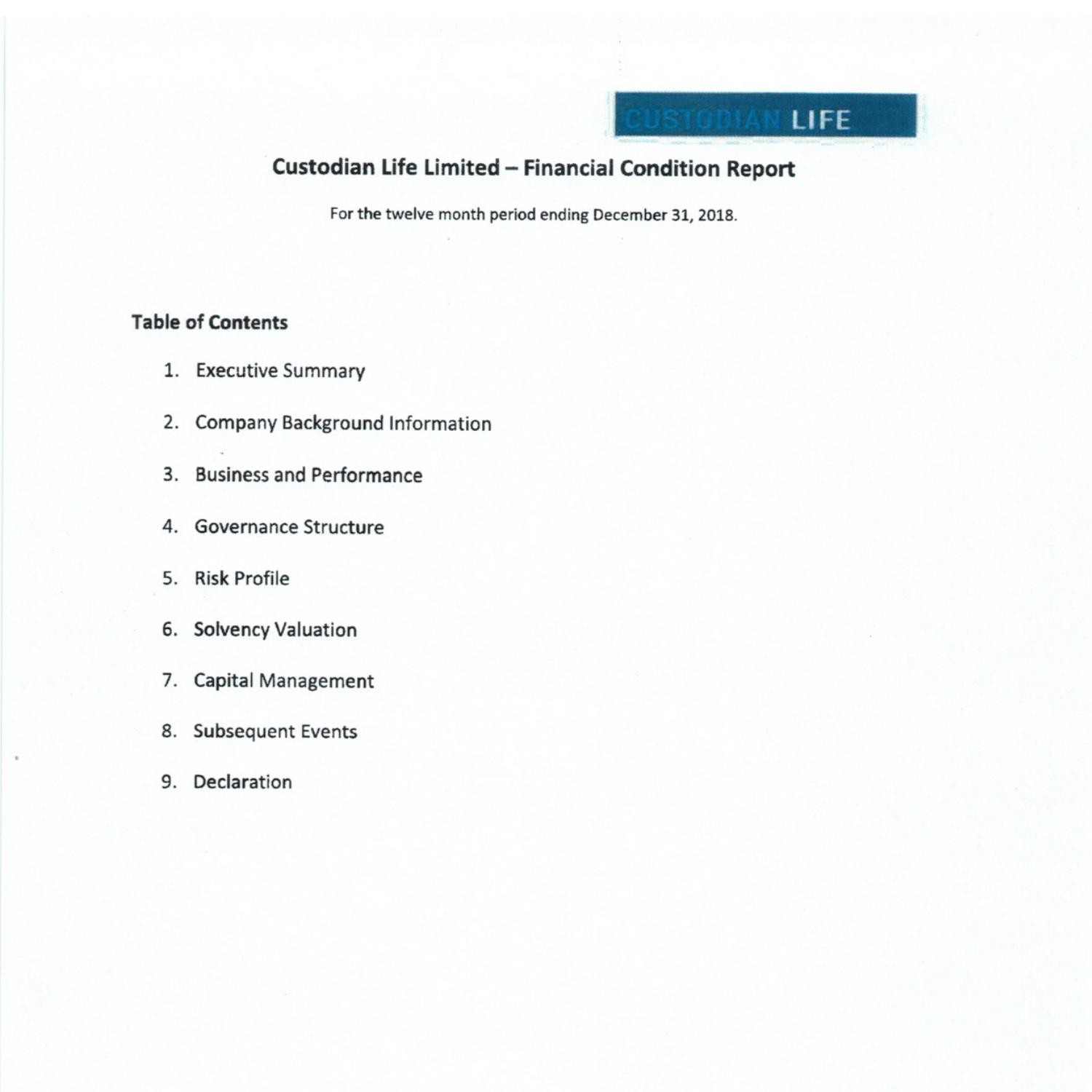 Financial Condition Report pdf DocDroid