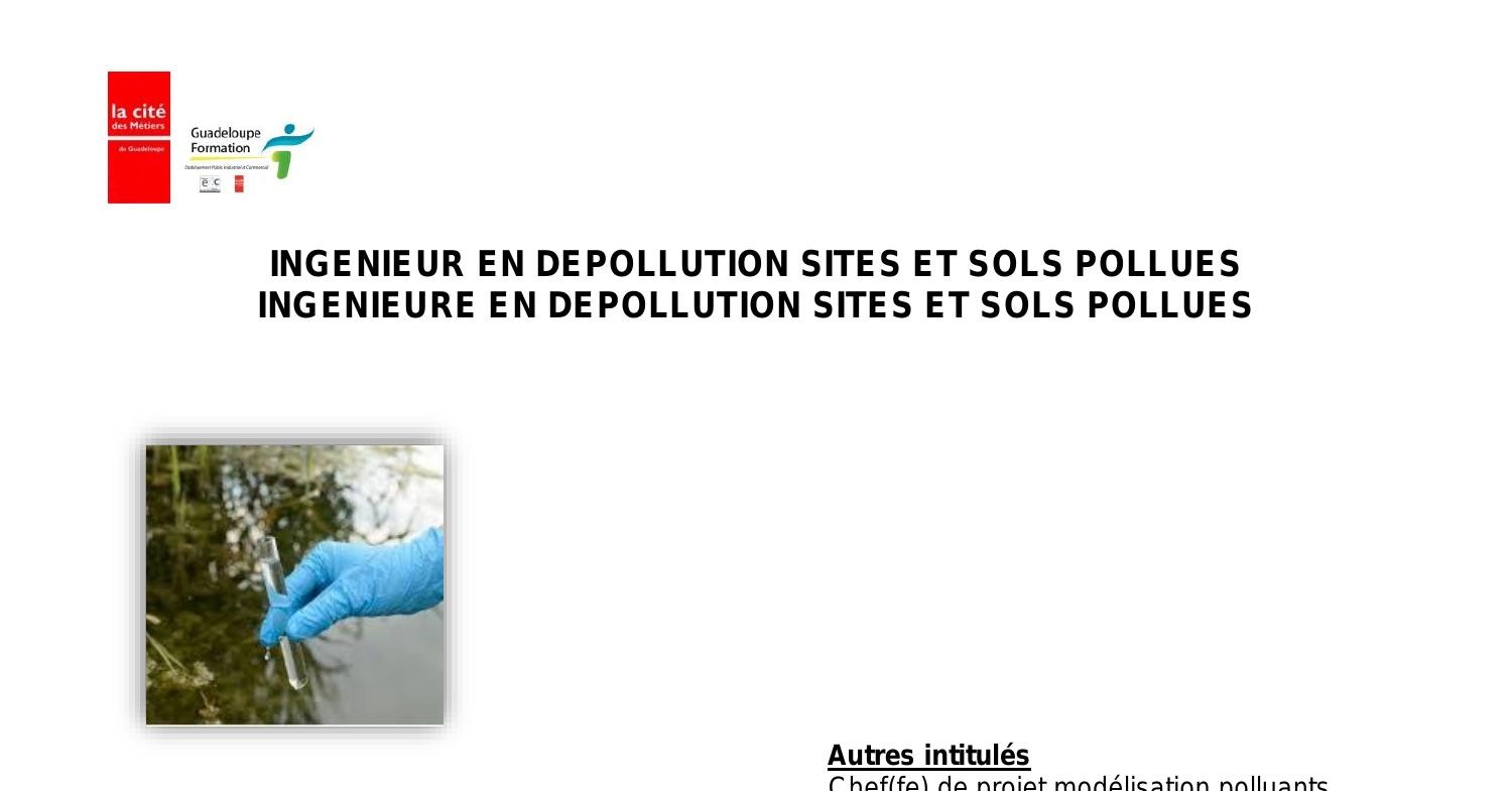 INGENIEUR.E EN DEPOLLUTION SITES ET SOLS POLLUES.pdf | DocDroid