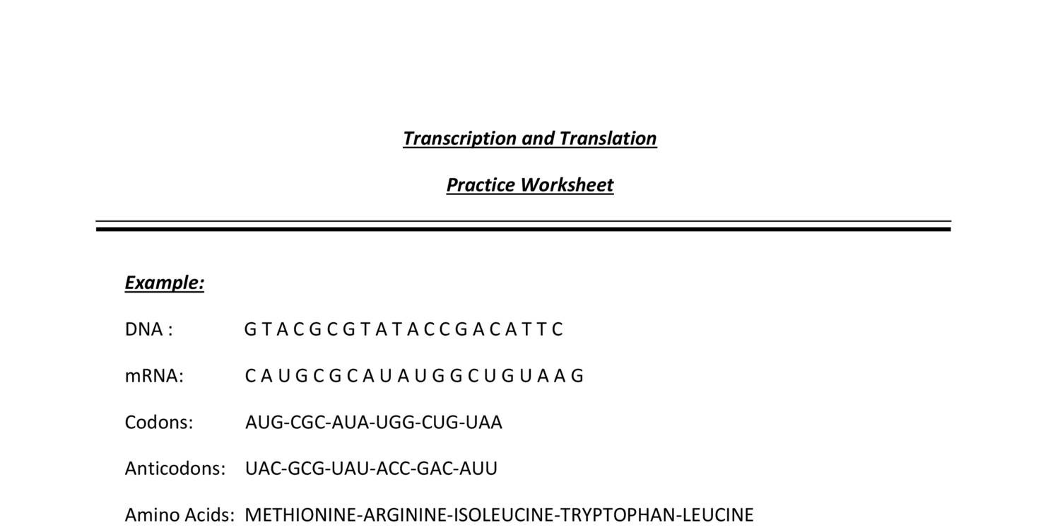 Transcription and Translation.pdf  DocDroid With Regard To Transcription And Translation Practice Worksheet
