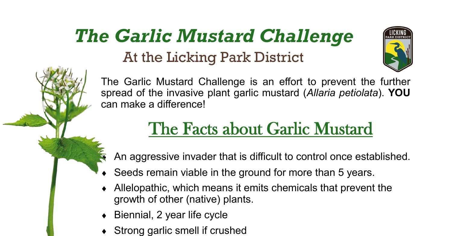 Garlic Mustard Fact Sheet.pdf DocDroid