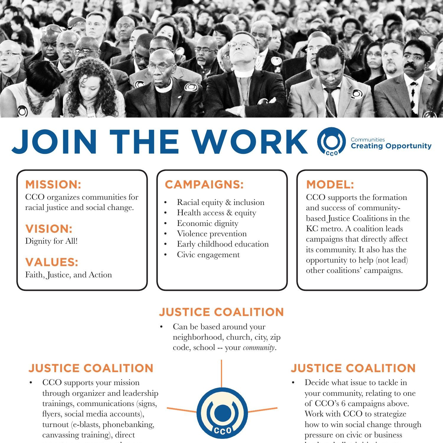 CCO Info Sheet 2020.pdf | DocDroid