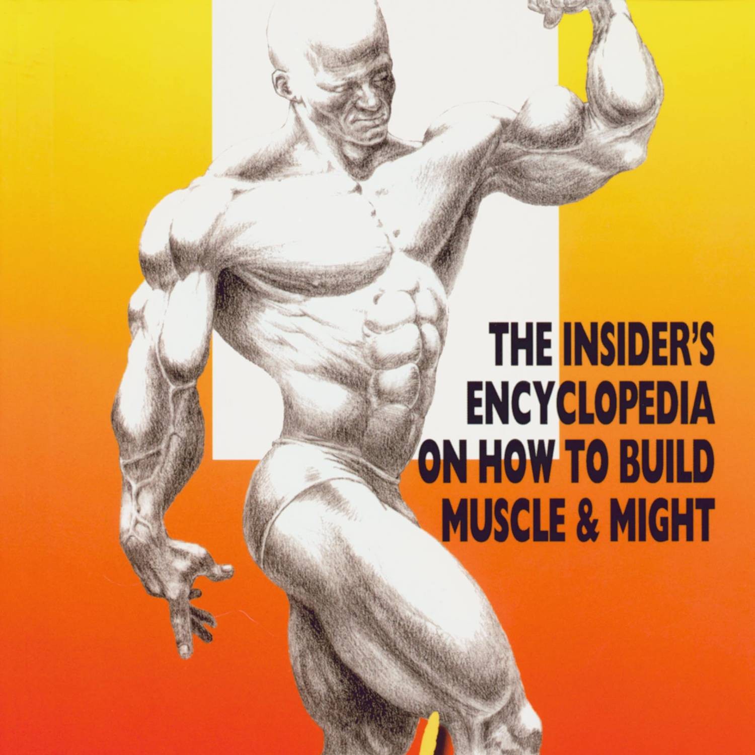 Stuart McRobert - Beyond Brawn, 2nd edition.pdf | DocDroid