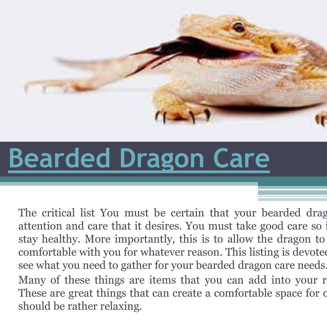 Bearded Dragon Care Pdf Docdroid