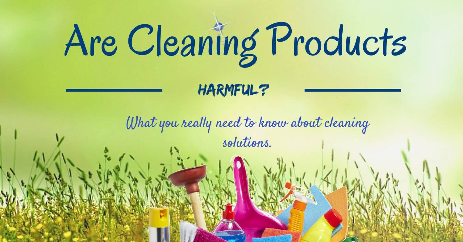 How Cleaning Products Are Harmful To Your Health(1).pdf DocDroid